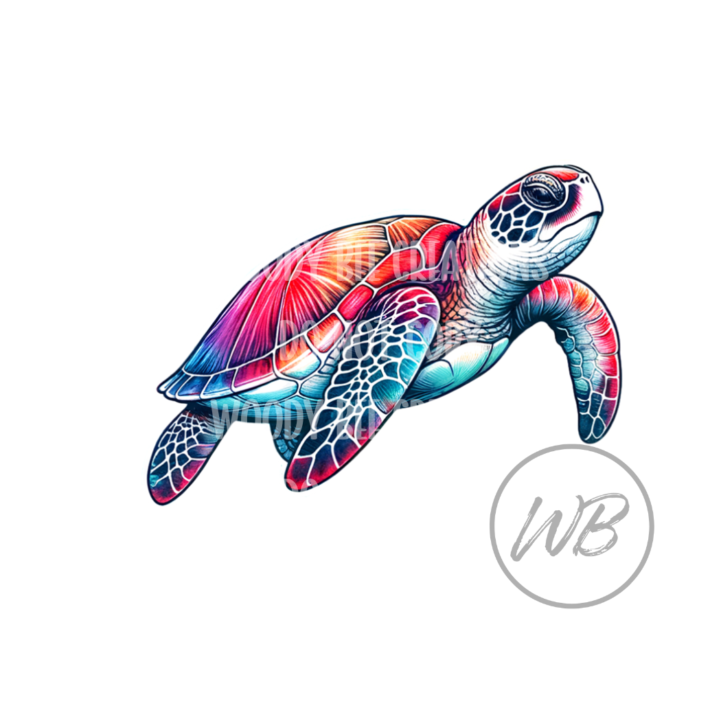 Tie Dye Turtle PNG